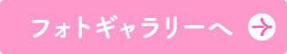 フォトギャラリーへ